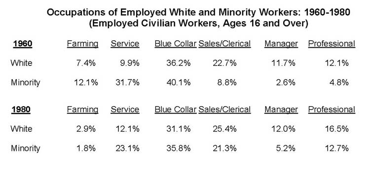 Occupation and Race, 1960-1980